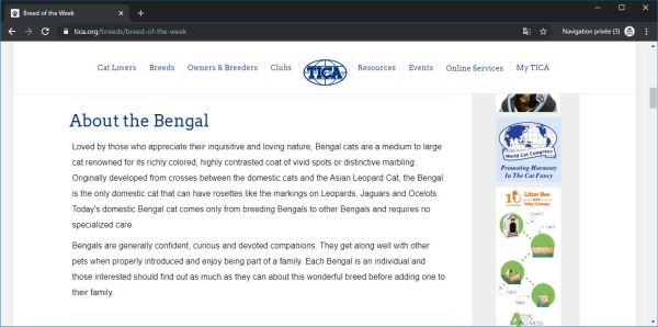 TICA : Au sujet du bengal